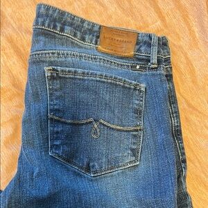 Lucky Brand Women's Blue Jeans